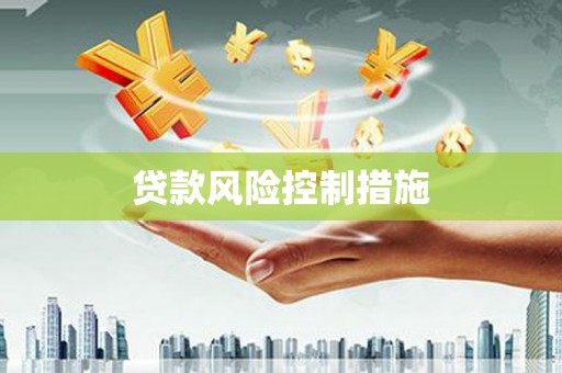 石屏贷款风险控制措施