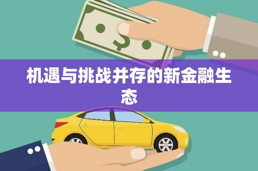 石屏机遇与挑战并存的新金融生态