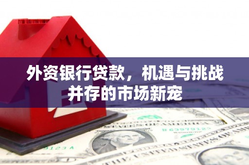 石屏外资银行贷款，机遇与挑战并存的市场新宠