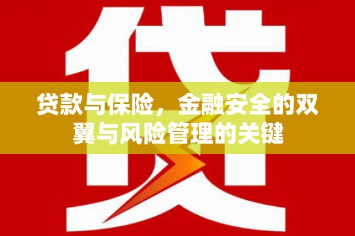 石屏贷款与保险，金融安全的双翼与风险管理的关键