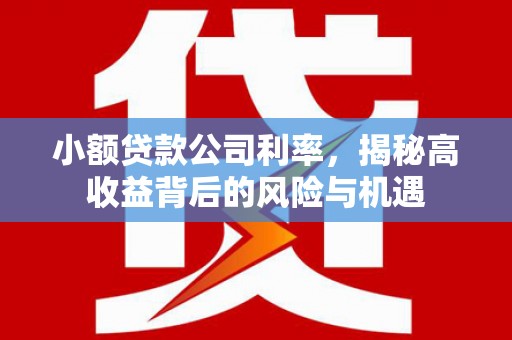 石屏小额贷款公司利率，揭秘高收益背后的风险与机遇
