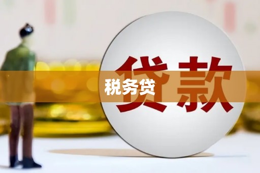 石屏税务贷