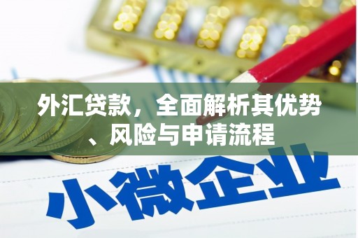 石屏外汇贷款，全面解析其优势、风险与申请流程