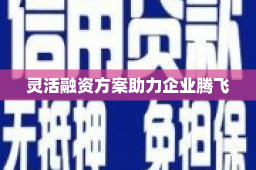 石屏灵活融资方案助力企业腾飞