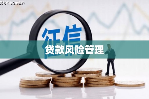 石屏贷款风险管理