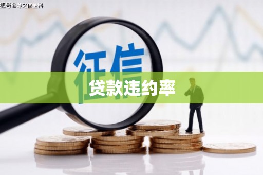石屏贷款违约率