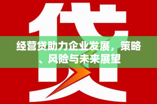 石屏经营贷助力企业发展，策略、风险与未来展望