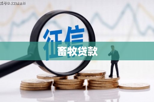 石屏畜牧贷款