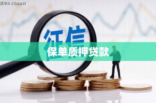 石屏保单质押贷款