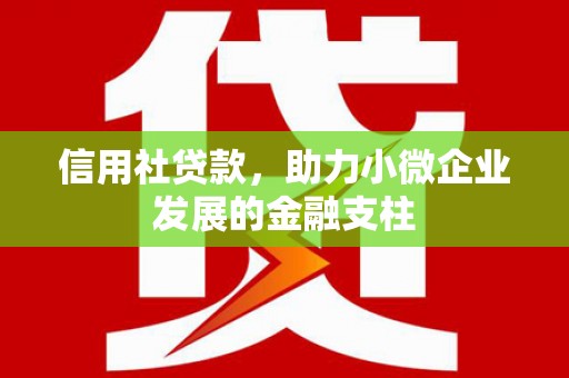 石屏信用社贷款，助力小微企业发展的金融支柱