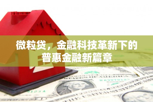 石屏微粒贷，金融科技革新下的普惠金融新篇章