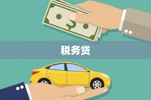 石屏税务贷