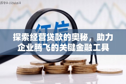 石屏探索经营贷款的奥秘，助力企业腾飞的关键金融工具