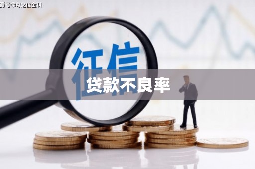 石屏贷款不良率