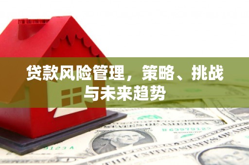 石屏贷款风险管理，策略、挑战与未来趋势
