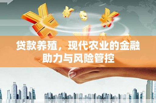 石屏贷款养殖，现代农业的金融助力与风险管控