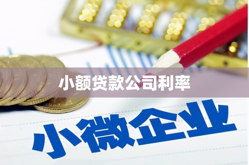 石屏小额贷款公司利率