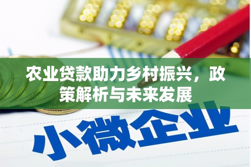 石屏农业贷款助力乡村振兴，政策解析与未来发展