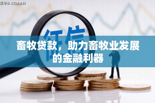 石屏畜牧贷款，助力畜牧业发展的金融利器