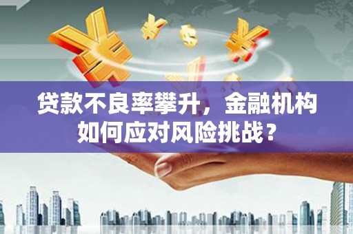 石屏贷款不良率攀升，金融机构如何应对风险挑战？