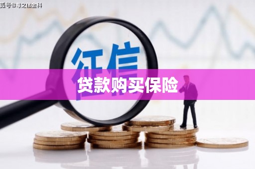 石屏贷款购买保险