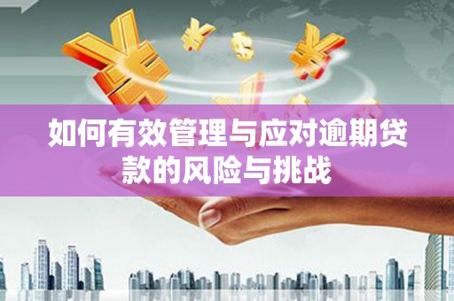 石屏如何有效管理与应对逾期贷款的风险与挑战