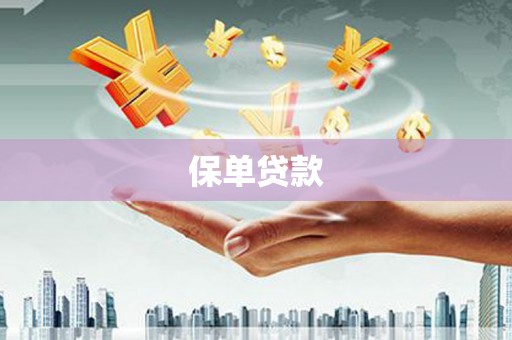 石屏保单贷款