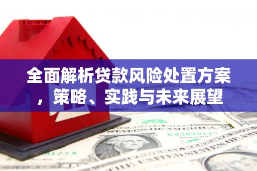 石屏全面解析贷款风险处置方案，策略、实践与未来展望