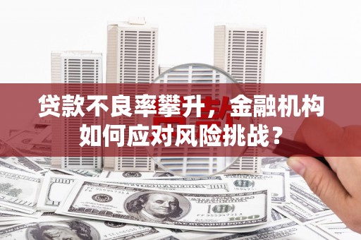 石屏贷款不良率攀升，金融机构如何应对风险挑战？