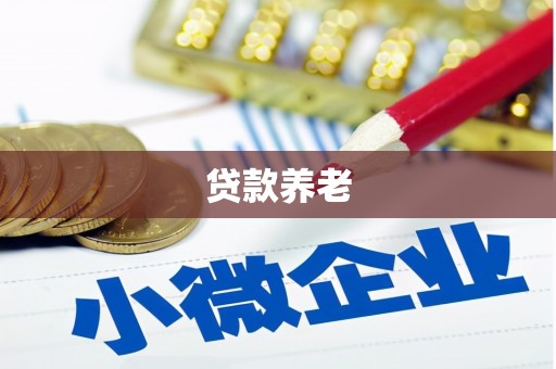 石屏贷款养老