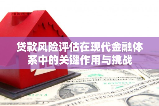 石屏贷款风险评估在现代金融体系中的关键作用与挑战