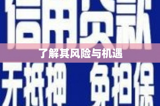 石屏了解其风险与机遇
