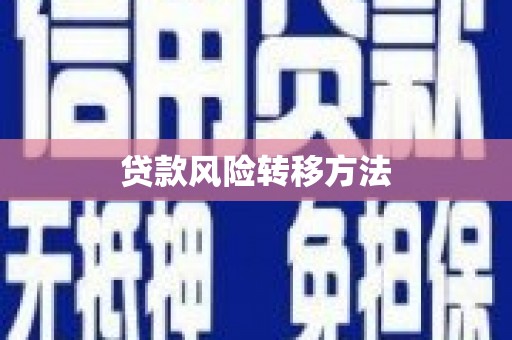 石屏贷款风险转移方法