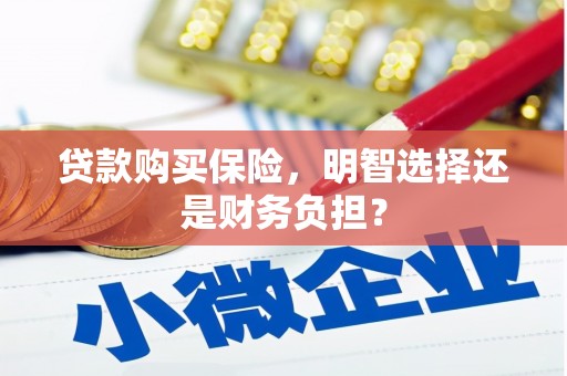 石屏贷款购买保险，明智选择还是财务负担？