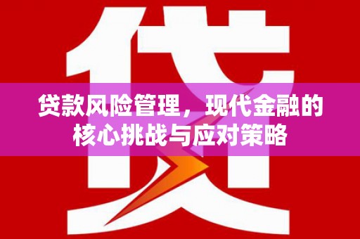 石屏贷款风险管理，现代金融的核心挑战与应对策略