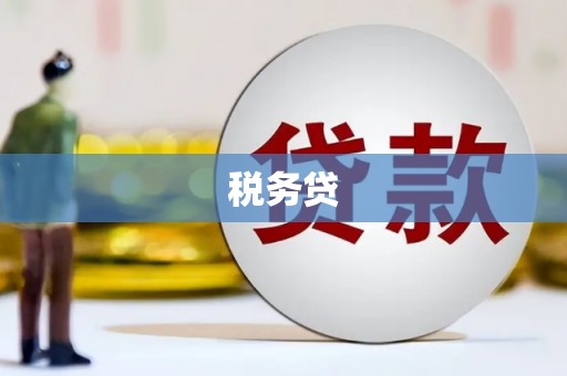 石屏税务贷