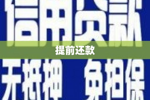石屏提前还款