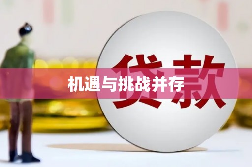 石屏机遇与挑战并存