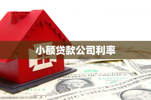 石屏小额贷款公司利率