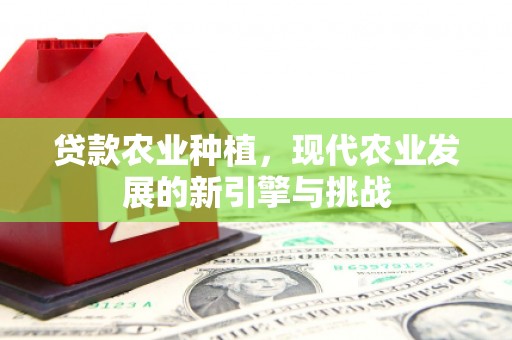 石屏贷款农业种植，现代农业发展的新引擎与挑战