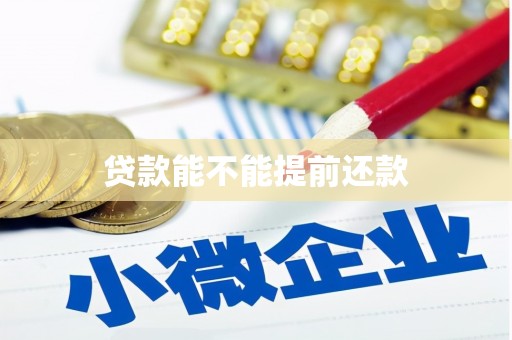 石屏贷款能不能提前还款