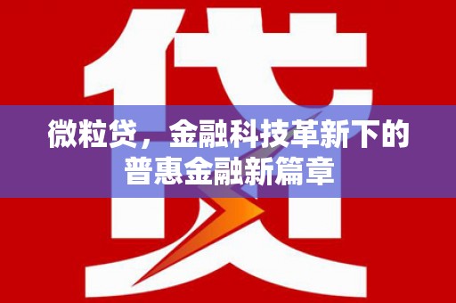 石屏微粒贷，金融科技革新下的普惠金融新篇章