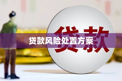 石屏贷款风险处置方案