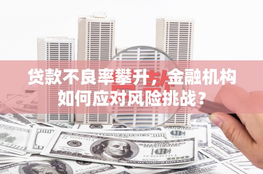 石屏贷款不良率攀升，金融机构如何应对风险挑战？