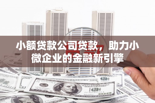 石屏小额贷款公司贷款，助力小微企业的金融新引擎