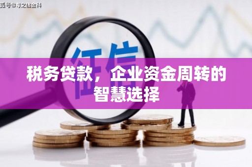 石屏税务贷款，企业资金周转的智慧选择