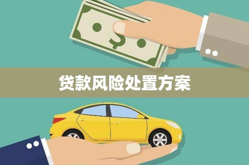 石屏贷款风险处置方案