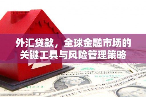 石屏外汇贷款，全球金融市场的关键工具与风险管理策略