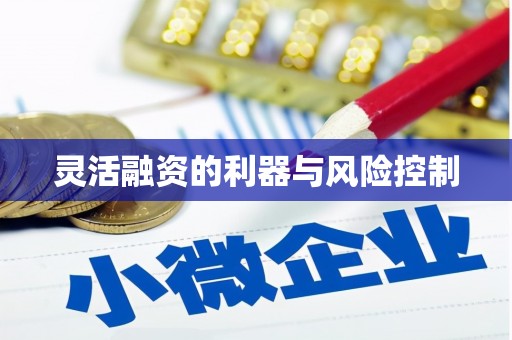 石屏灵活融资的利器与风险控制