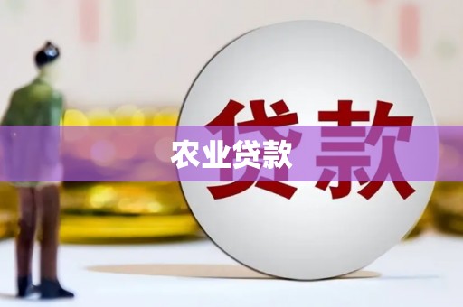 石屏农业贷款